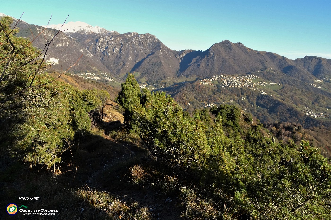 56 Scendendo tra pini mughi con vista in Alben, Suchello, Costa Serina.JPG